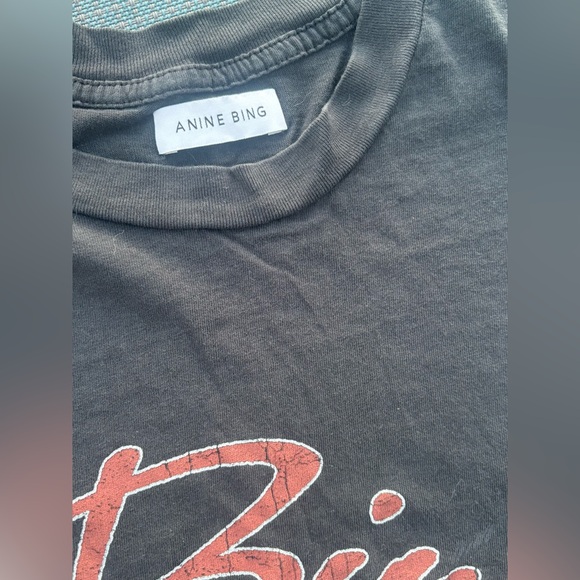 Anine Bing Walker Panther Cat Organic Cotton Distressed Vintage Charcoal Tee - Picture 4 of 9